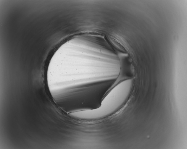 X0000088751164200706282159