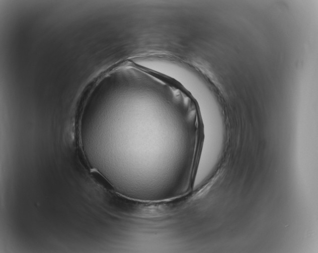 X0000088751165200706282159