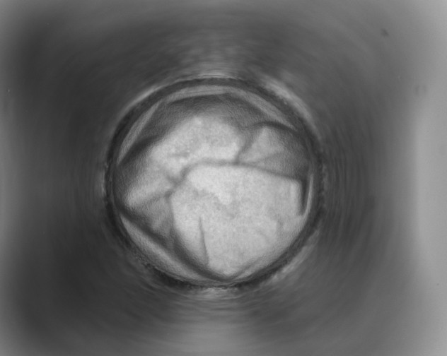 X0000088751166200706282159