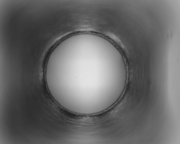 X0000088751167200706282159