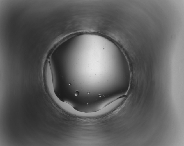 X0000088751168200706282159