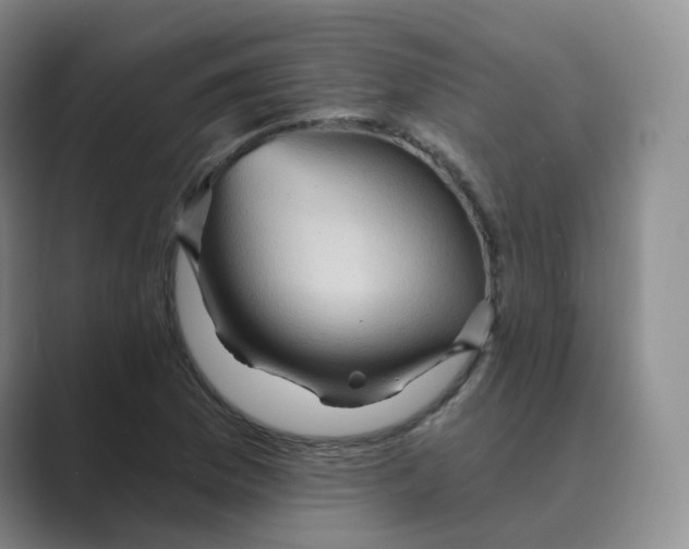 X0000088751169200706282159