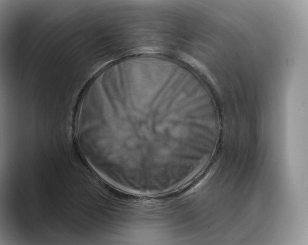 X0000088751170200706282159