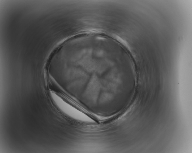 X0000088751171200706282159