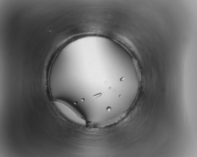 X0000088751172200706282159