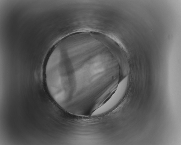 X0000088751173200706282159