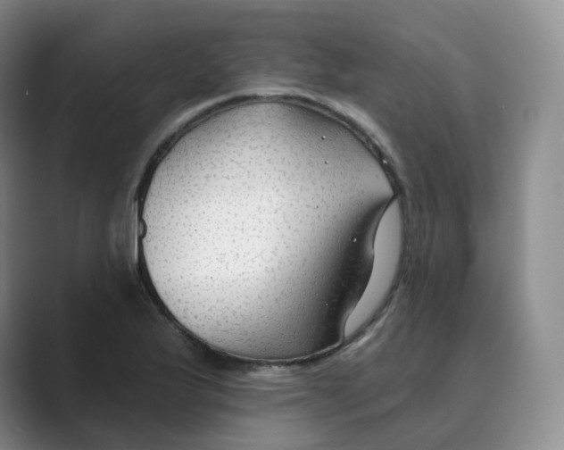 X0000088751175200706282159