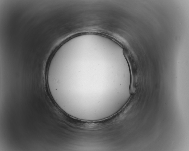 X0000088751176200706282159