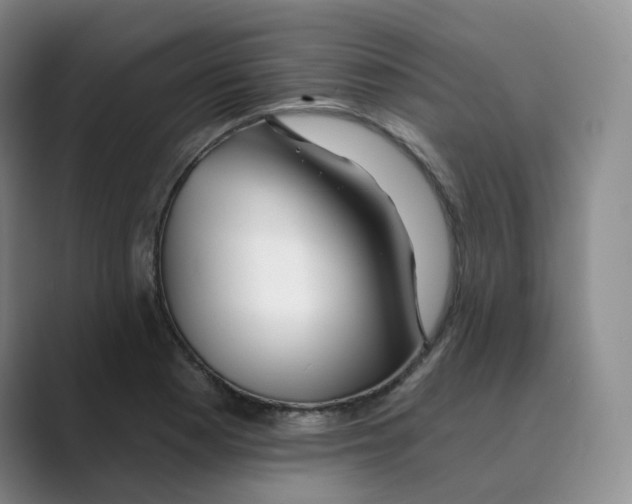 X0000088751177200706282159