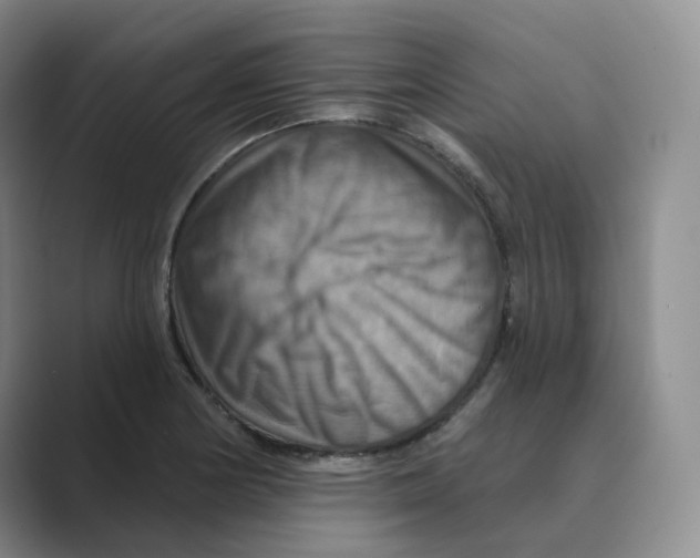 X0000088751178200706282159