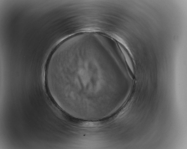 X0000088751179200706282159