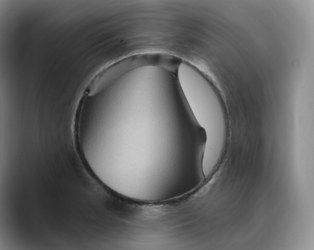 X0000088751181200706282159