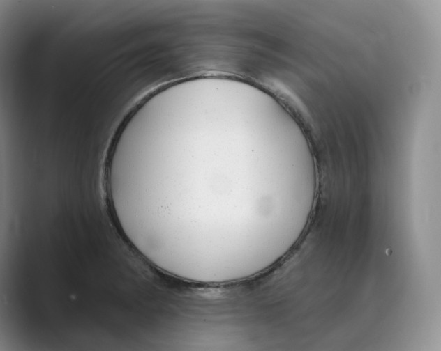 X0000088751182200706282159