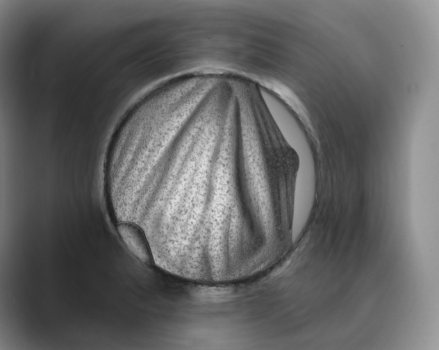 X0000088751183200706282159