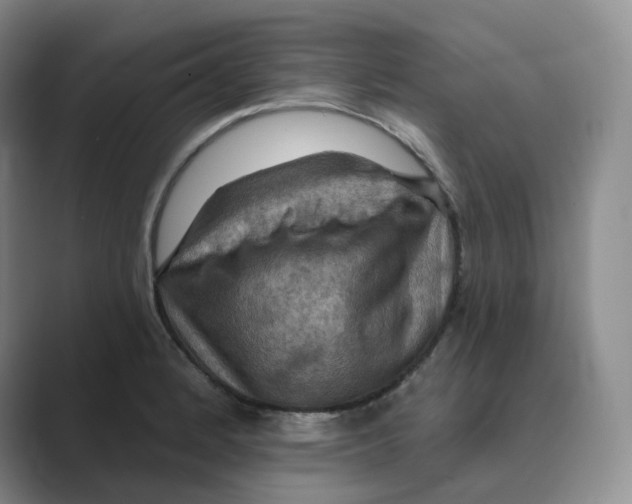 X0000088751184200706282159