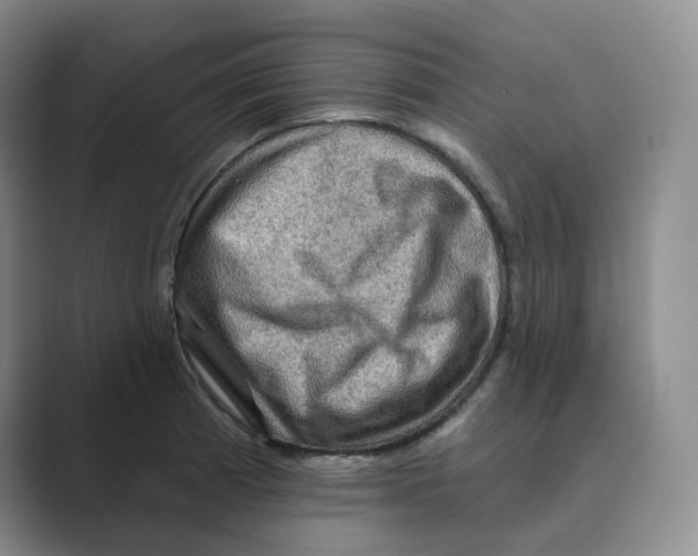 X0000088751185200706282159