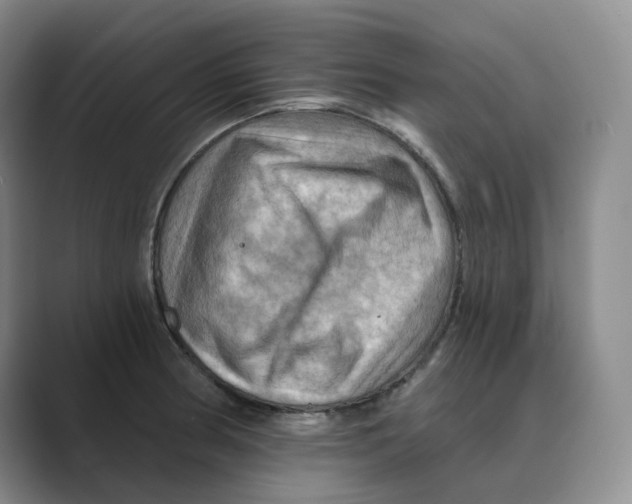 X0000088751186200706282159