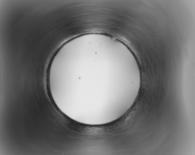 X0000088751187200706282159