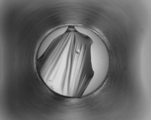 X0000088751188200706282159