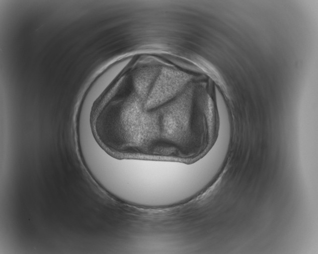 X0000088751192200706282159