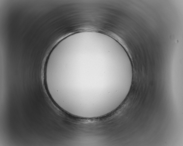 X0000088751195200706282159