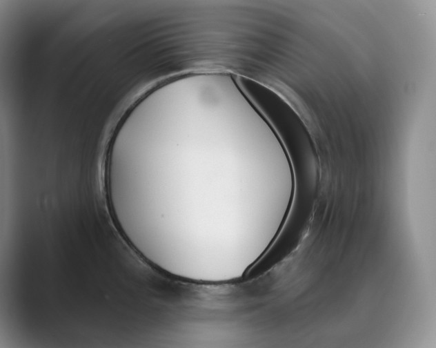 X0000088751196200706282159