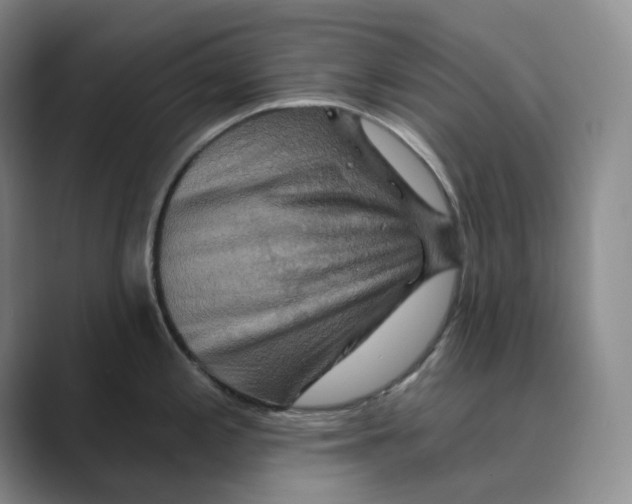 X0000088751197200706282159