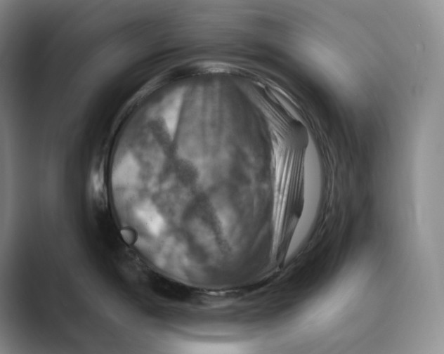 X0000088751198200706282159