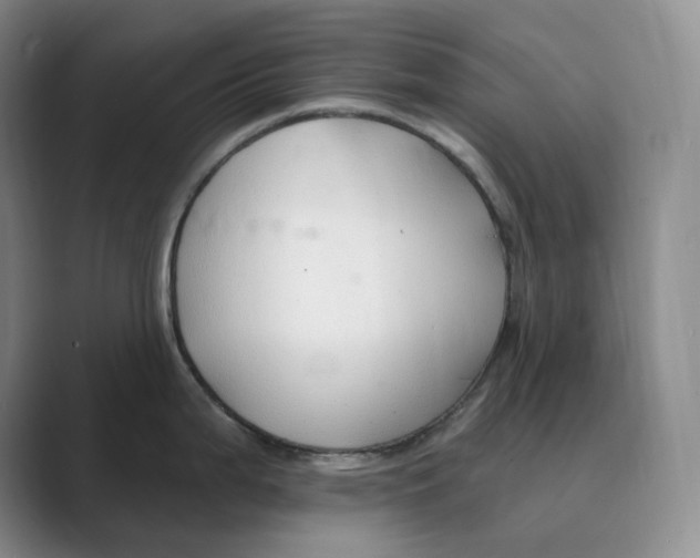 X0000088751199200706282159