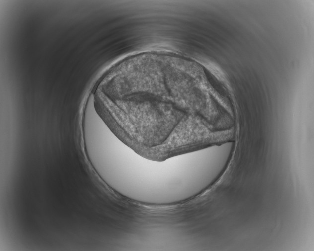 X0000088751200200706282159