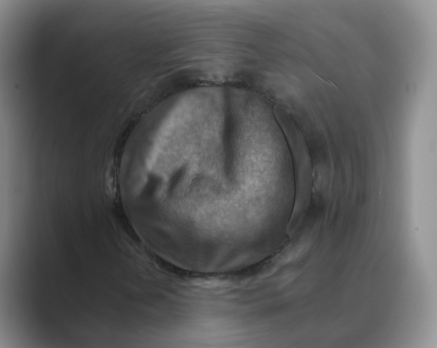 X0000088751202200706282158