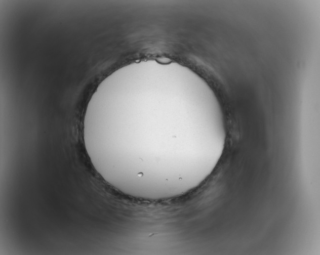 X0000088751207200706282158