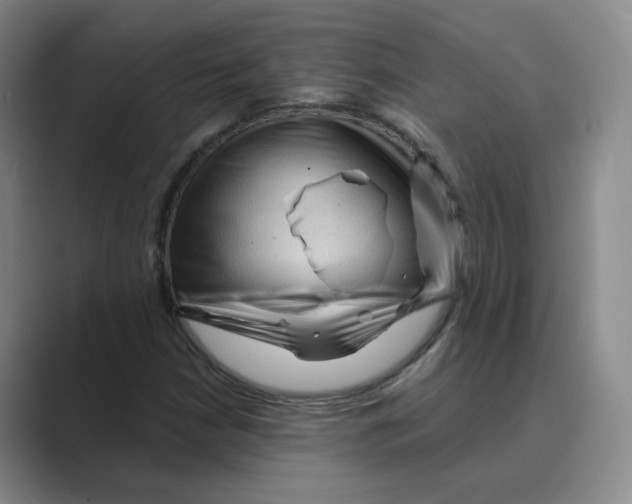 X0000088751210200706282158