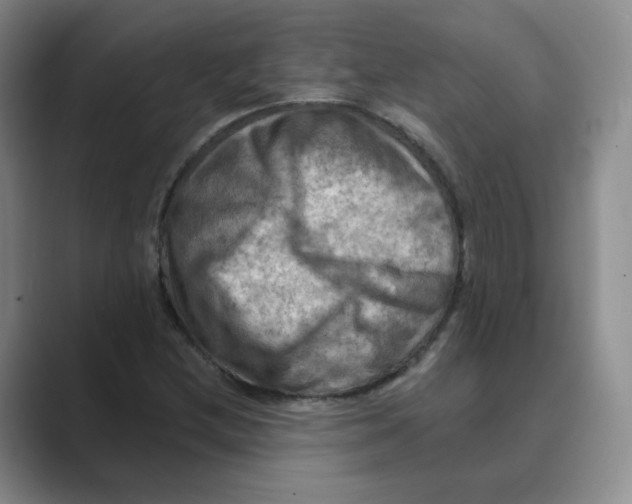 X0000088751212200706282158