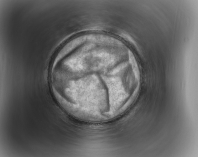 X0000088751216200706282158