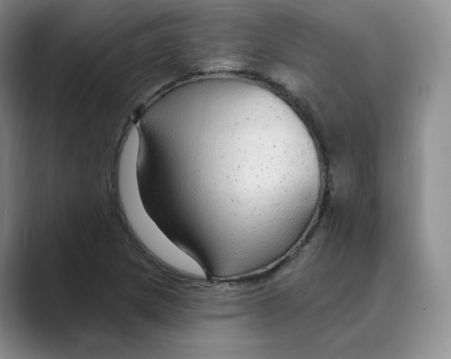 X0000088751217200706282158