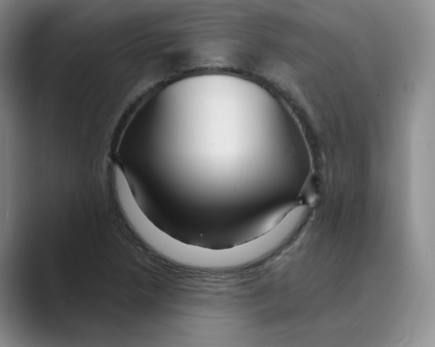 X0000088751218200706282158