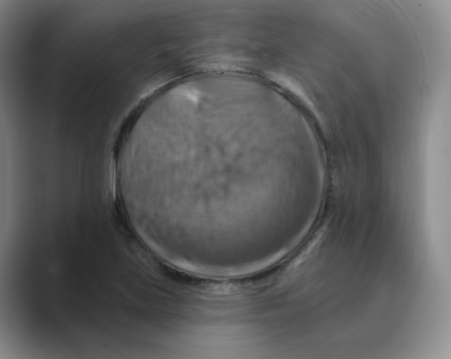 X0000088751219200706282158