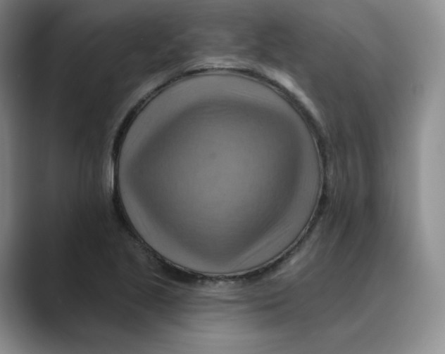 X0000088751221200706282158