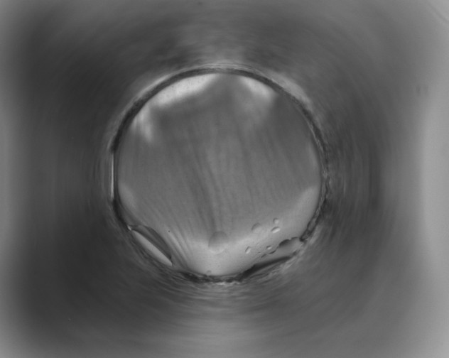 X0000088751223200706282158