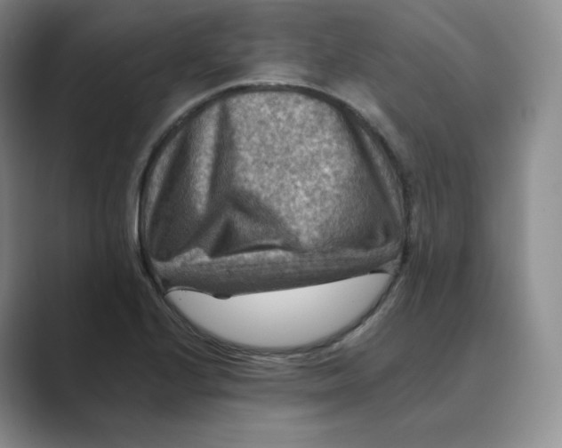 X0000088751224200706282158