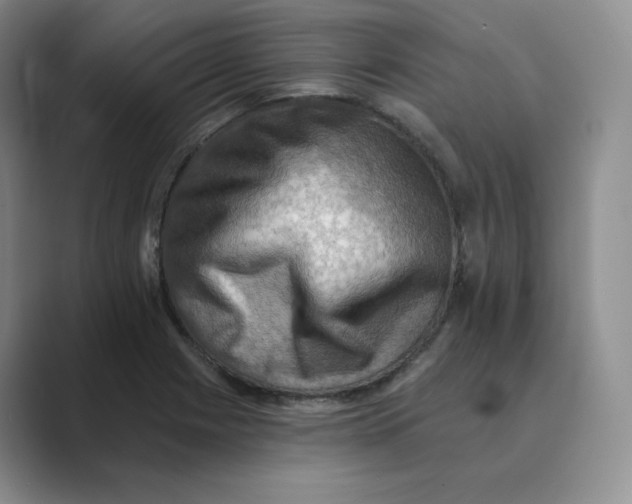 X0000088751225200706282158