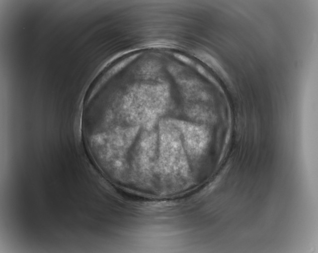 X0000088751228200706282159