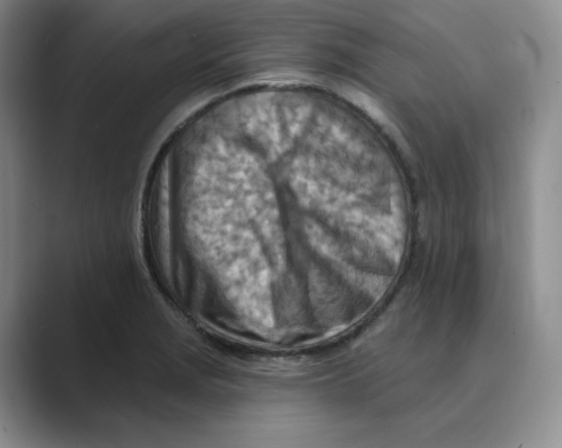 X0000088751229200706282159