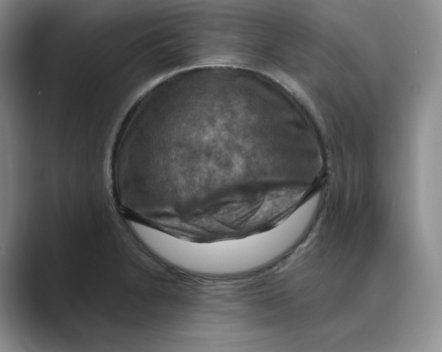 X0000088751230200706282159