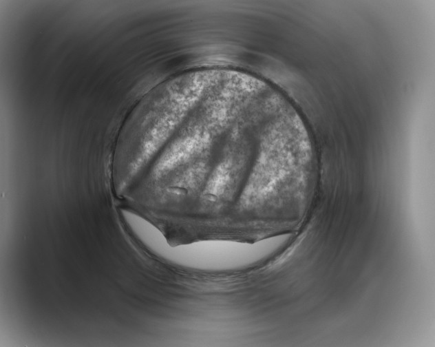 X0000088751233200706282159