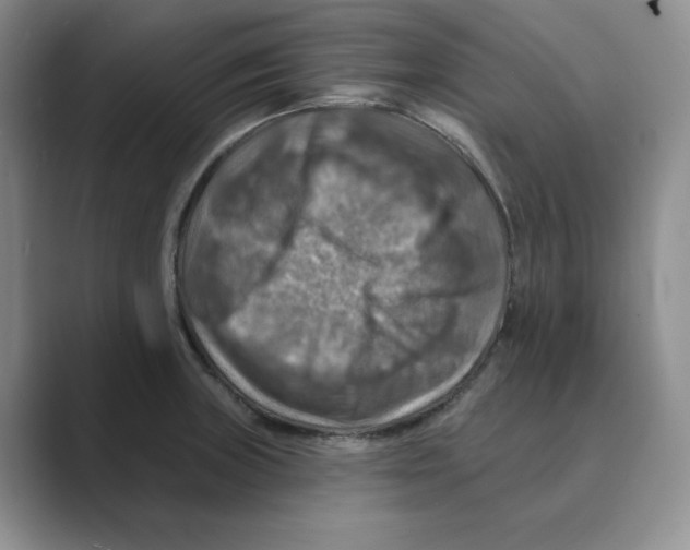 X0000088751235200706282159