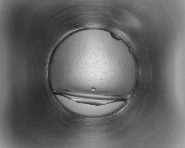 X0000088751236200706282159