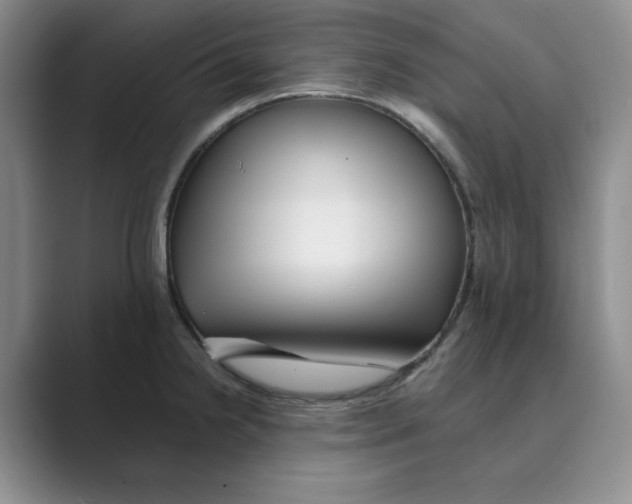 X0000088751238200706282159