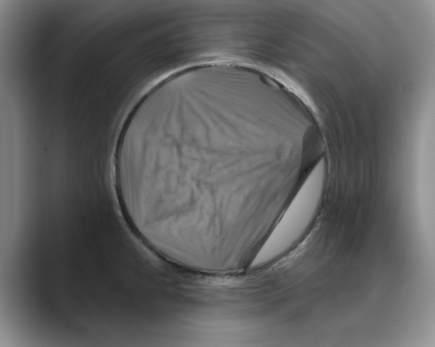 X0000088751239200706282159